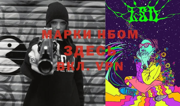 PSILOCYBIN Алзамай