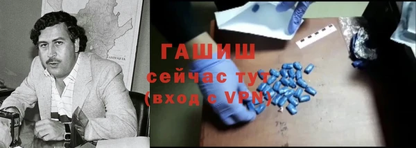 PSILOCYBIN Алзамай