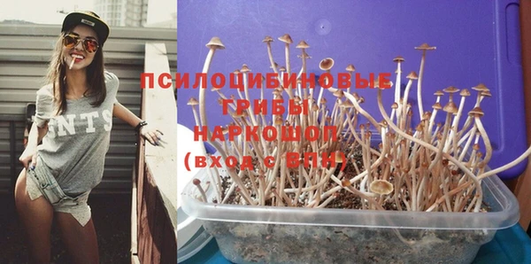 PSILOCYBIN Алзамай