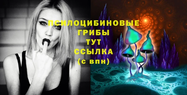 Альфа ПВП Алексин