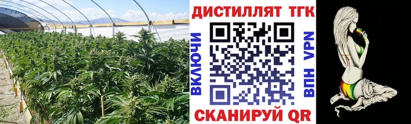 Дистиллят ТГК вейп  кракен сайт  Обоянь  где купить наркоту 
