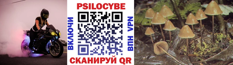 Псилоцибиновые грибы Cubensis  KRAKEN ССЫЛКА  Обоянь  купить  